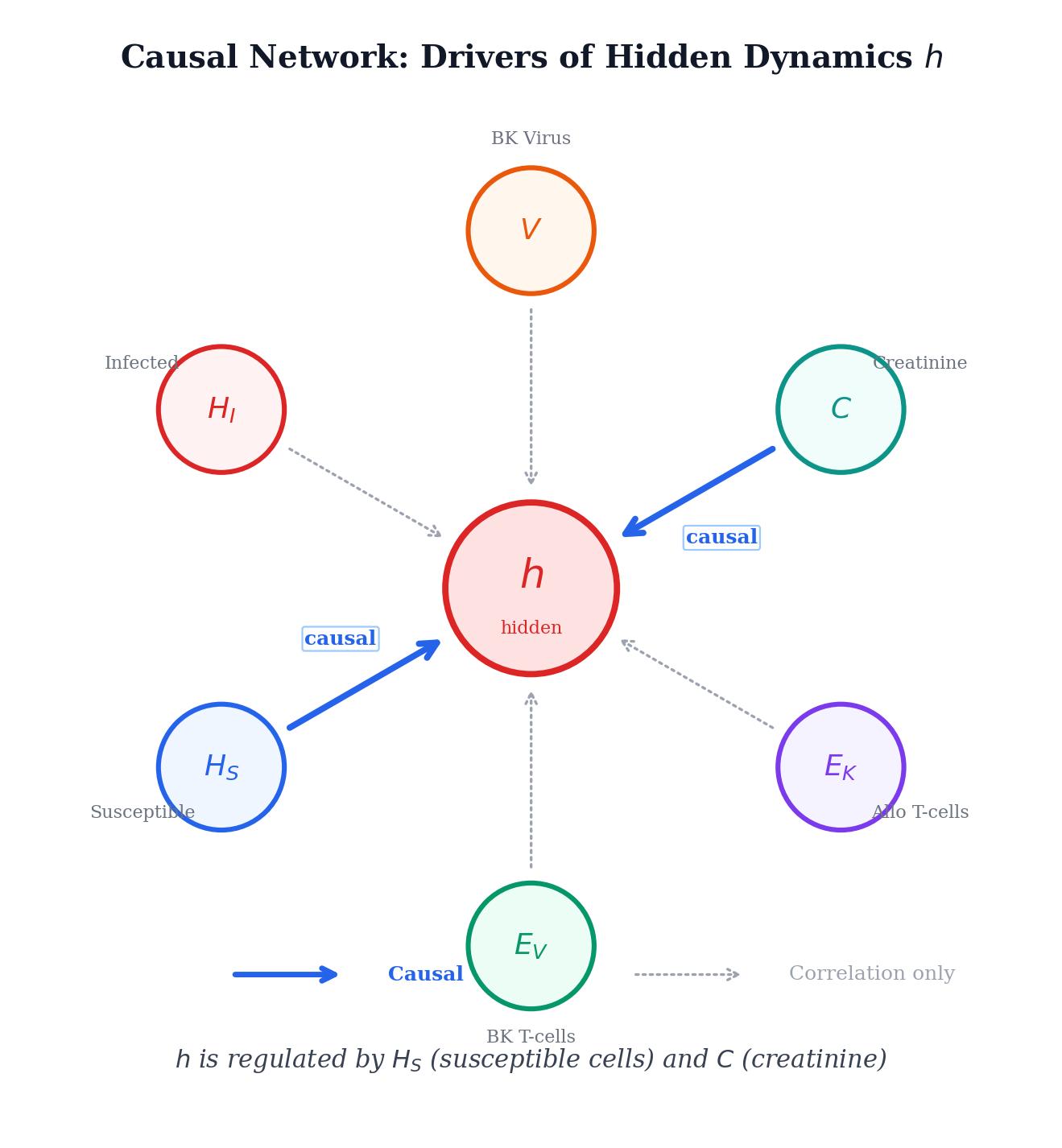 Causal inference network showing h regulated by Hs and C