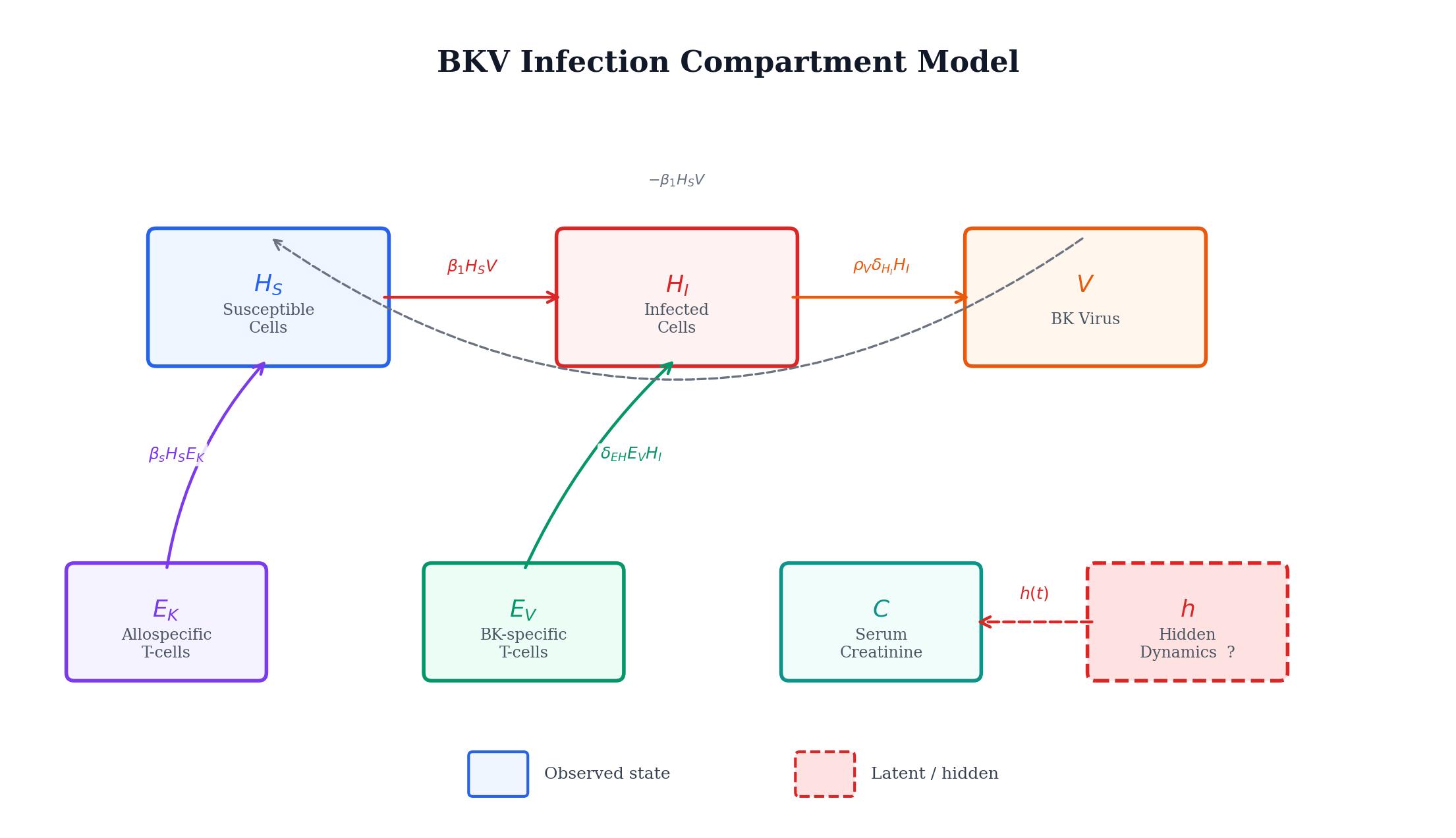 Compartment model diagram and governing equations