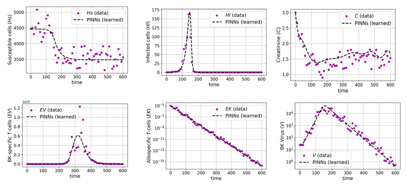 PINNs results: exact vs learned dynamics for all compartments